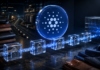 6,5 Millionen Nachweise auf Cardano: Lieferkettenlösung startet bei brasilianischen Modekonzernen Cardano-Verifizierungsschicht für vertrauliche Lieferkettendaten von Blockforce