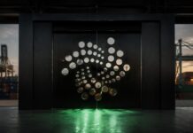 IOTA Logo in Kooperation mit Nigeria Schiff und Logistik TWIN