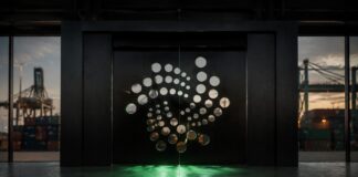 IOTA Logo in Kooperation mit Nigeria Schiff und Logistik TWIN