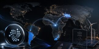 IOTA-Adoption weltweit mit Fokus auf Argentinien, Afrika und Türkei