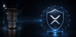 XRP-Logo in einem digitalen Schutzschild neben einem Quantencomputer als Symbol für Ripples Schutz des XRP Ledgers vor Quantenrisiken.