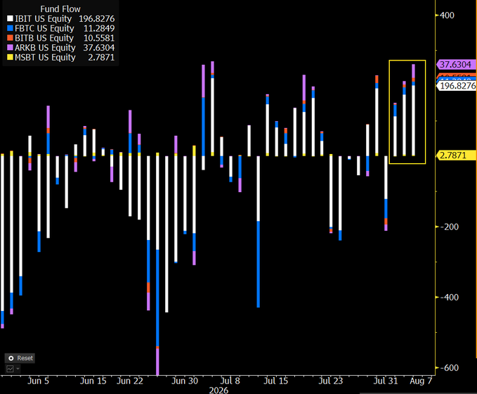 Diagramm zur Bitcoin Spot ETF Entwicklung 