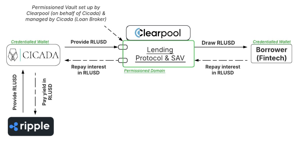 Schaubild zum XRPL-Lending-Protokoll mit Clearpool, Cicada Partners, Ripple und einem Fintech-Kreditnehmer sowie RLUSD-Zahlungsströmen.