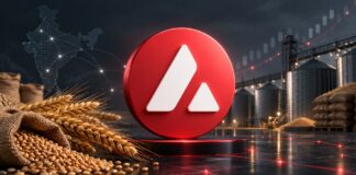 Avalanche-Logo vor Getreide, Lagerhäusern und Blockchain-Netzwerk zur Digitalisierung indischer Agrarkredite