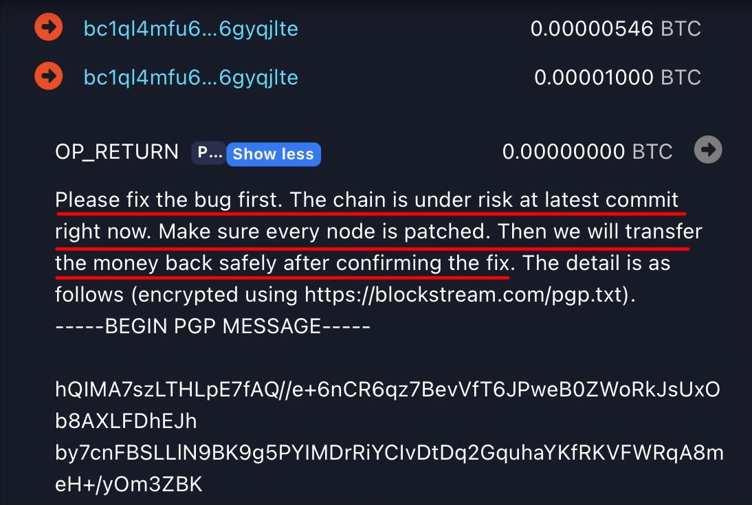 Bitcoin-Transaktion mit OP_RETURN-Nachricht, die vor einem kritischen Bug in der Blockchain warnt