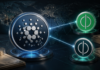 Cardano-Symbol verbunden mit den RealFi-Token USDr und sUSDr vor einer digitalen Weltkarte