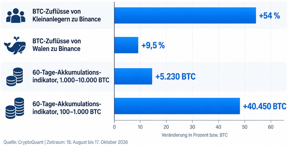 Bitcoin-Wale und Kleinanleger im Vergleich: CryptoQuant-Daten zeigen BTC-Zuflüsse zu Binance und die Akkumulation großer Bitcoin-Halter im Oktober 2026.