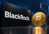 BlackRock-Logo neben einer goldenen Bitcoin-Münze und einer transparenten Schutzwand vor dunkelblauem Hintergrund.