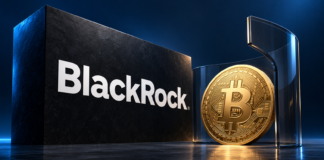 BlackRock-Logo neben einer goldenen Bitcoin-Münze und einer transparenten Schutzwand vor dunkelblauem Hintergrund.