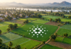 Indiens Landwirtschaft nutzt Cardano: 100.000 Flächen digital erfasst Landwirtschaftliche Felder in Indien mit Cardano-Logo und grafisch hervorgehobenen Parzellengrenzen.