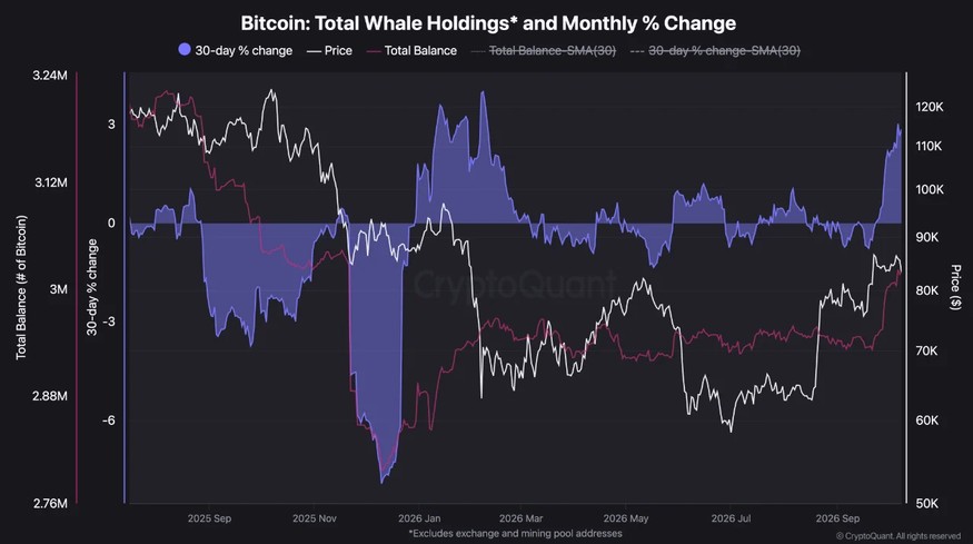 Bitcoin-Wale akkumulieren trotz Kurskorrektur: CryptoQuant-Chart zeigt steigende Bitcoin-Bestände großer Investoren und die monatliche Bestandsveränderung.