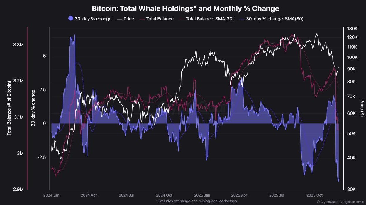 CryptoQuant-Chart zeigt die Bitcoin-Bestände großer Wale, die monatliche Bestandsveränderung in Prozent und den Bitcoin-Kurs von Januar 2024 bis Ende 2025.