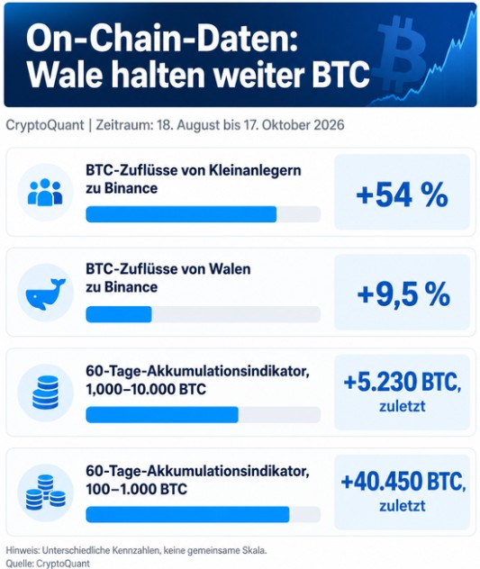 Bitcoin On-Chain-Daten von CryptoQuant zeigen steigende BTC-Zuflüsse zu Binance und positive Akkumulationswerte bei Bitcoin-Walen im Oktober 2026.