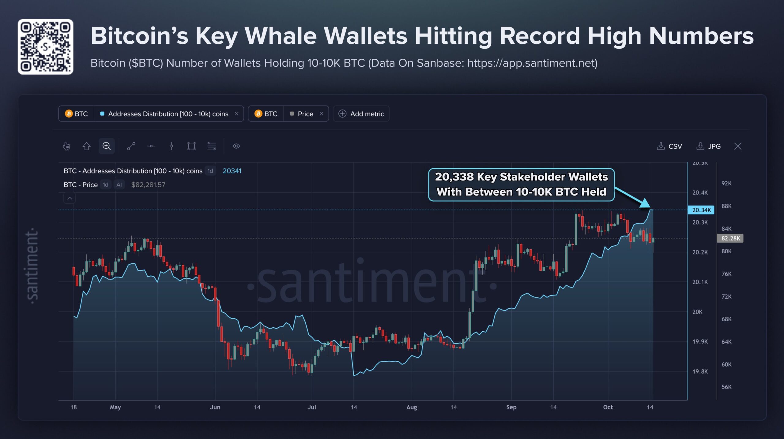 Santiment-Chart mit Bitcoin-Kurs und einer seit Mitte Juli deutlich steigenden Anzahl größerer Bitcoin-Wallets.