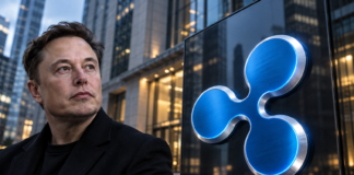 Ripple gewinnt die Bank hinter Elon Musks X Money für RLUSD Elon Musk neben einem großen blauen Ripple-Logo vor einer modernen Bankfassade.