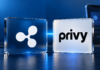 Ripple-Logo und Privy-Schriftzug auf Glastafeln vor blauem Hintergrund mit einem Smartphone.