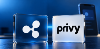 Ripple-Logo und Privy-Schriftzug auf Glastafeln vor blauem Hintergrund mit einem Smartphone.