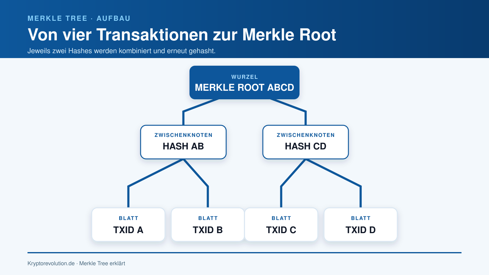 Aufbau eines Merkle Trees